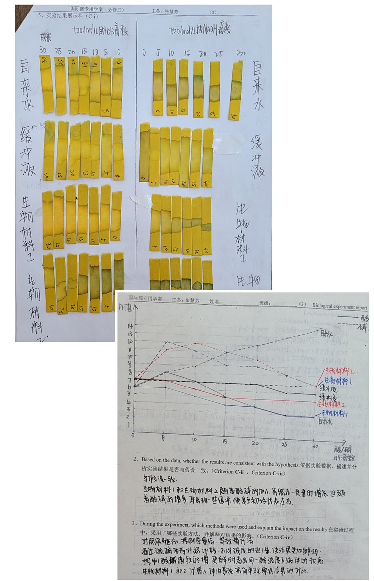 圖片9：學(xué)生生物實(shí)驗(yàn)報告.jpg