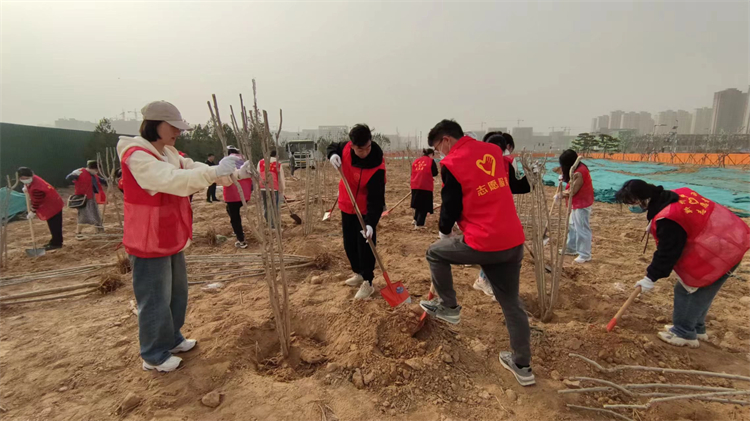 圖片3 植樹現(xiàn)場2.jpg