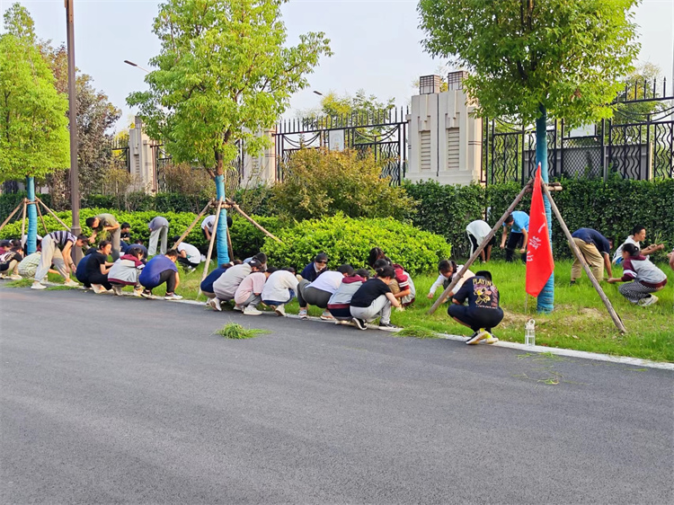 圖片22：“除草護(hù)綠，凈化心靈”主題勞動教育實踐活動.jpg